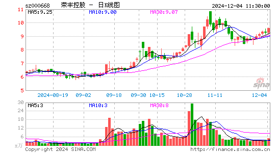 荣丰控股