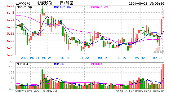 智度股份