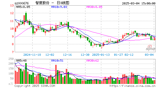 智度股份