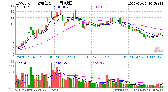 智度股份