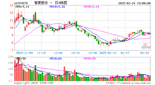 智度股份