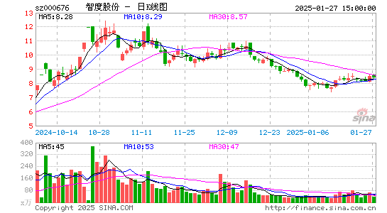 智度股份