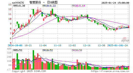 智度股份