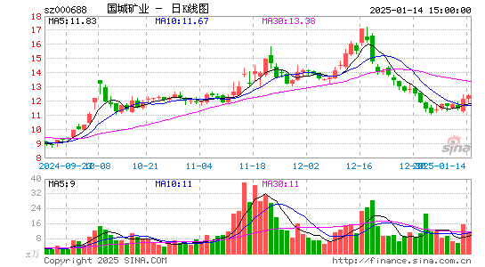 国城矿业