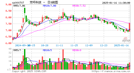 双环科技