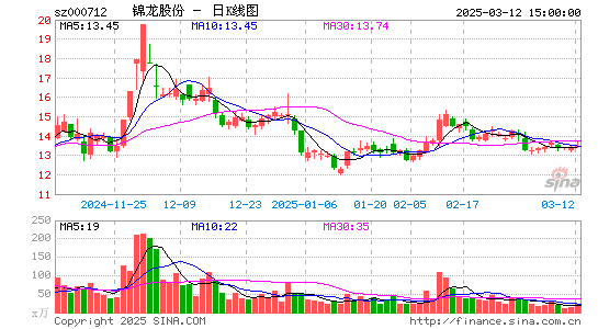 锦龙股份