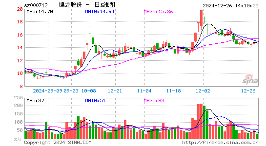 锦龙股份