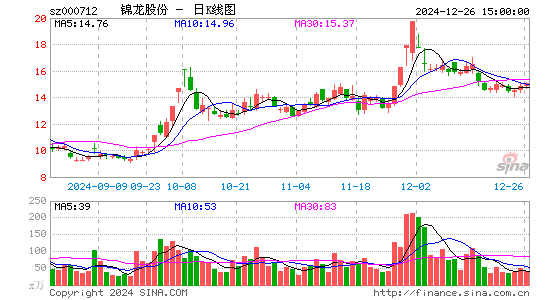 锦龙股份