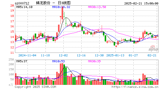 锦龙股份