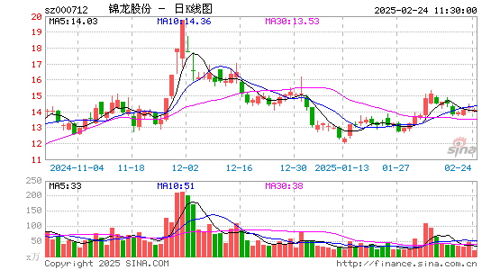 锦龙股份