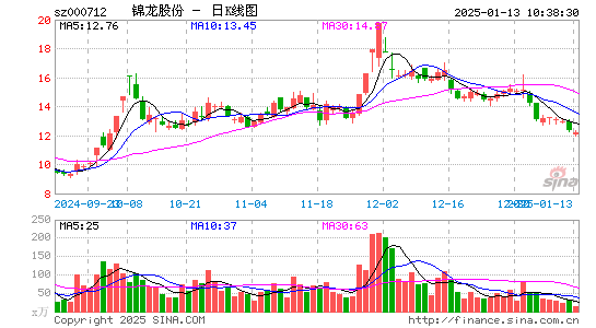 锦龙股份