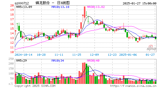 锦龙股份