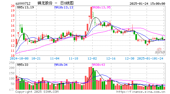 锦龙股份