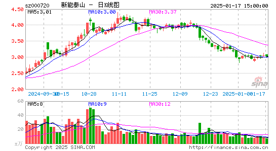 新能泰山