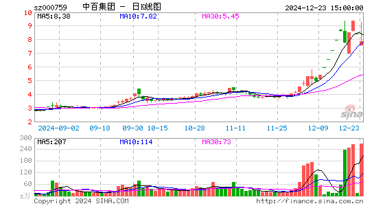 中百集团