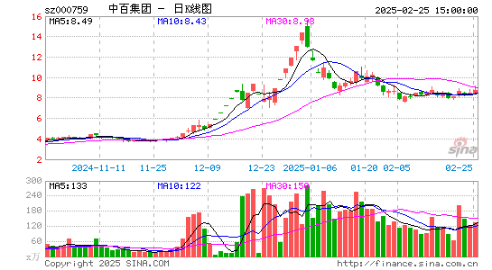 中百集团