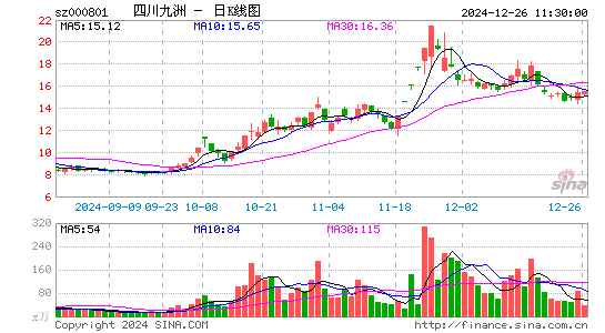 四川九洲