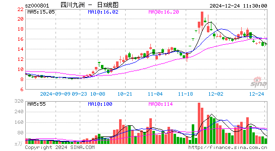 四川九洲