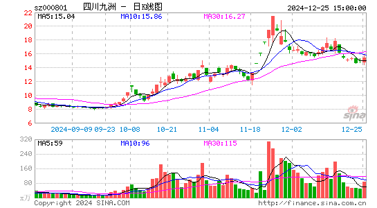 四川九洲