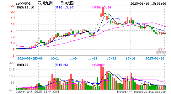 四川九洲