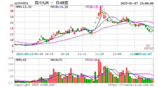 四川九洲