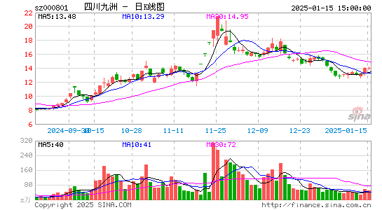 四川九洲