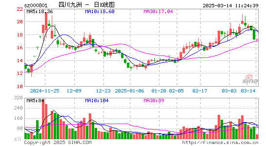 四川九洲