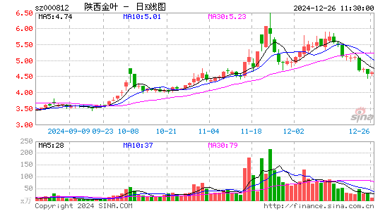 陕西金叶