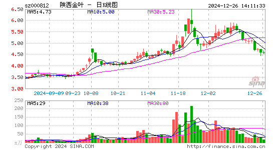 陕西金叶