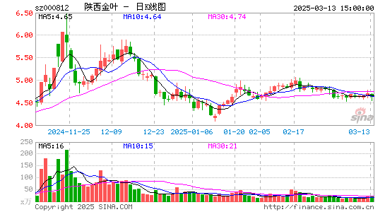 陕西金叶