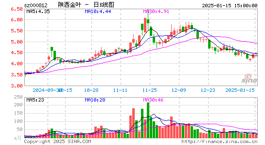 陕西金叶