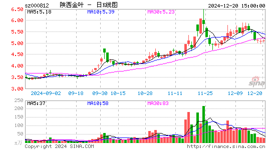 陕西金叶