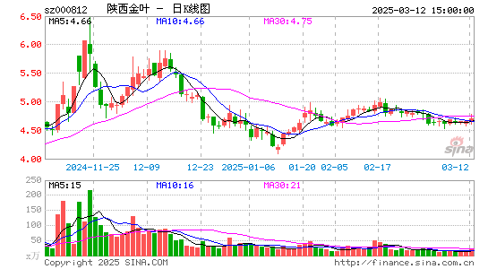 陕西金叶