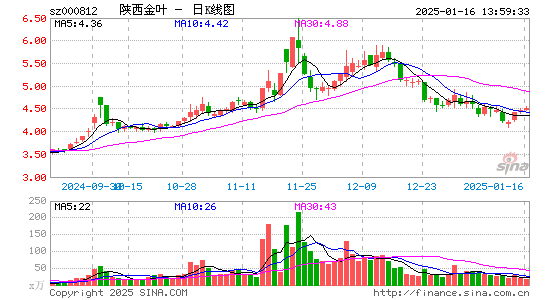 陕西金叶