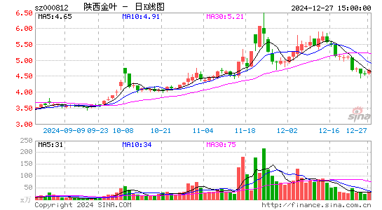 陕西金叶