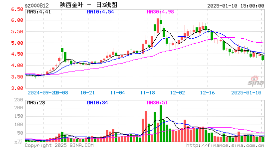 陕西金叶