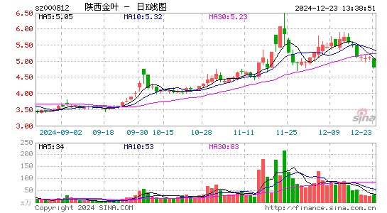 陕西金叶