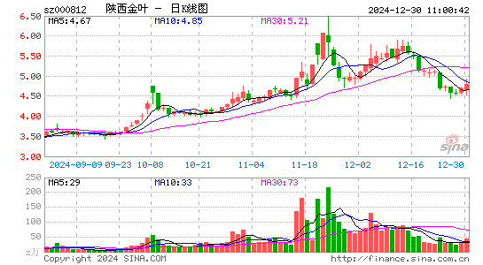 陕西金叶