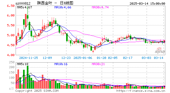 陕西金叶