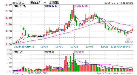 陕西金叶