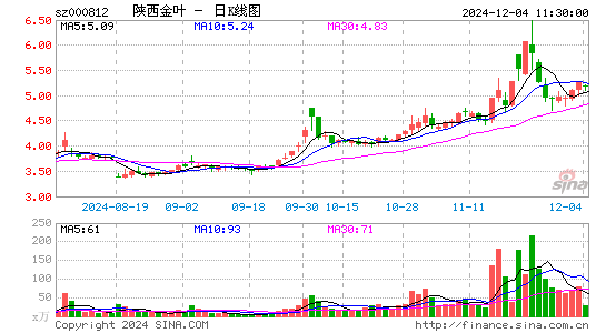 陕西金叶