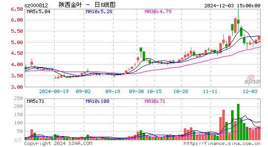 陕西金叶