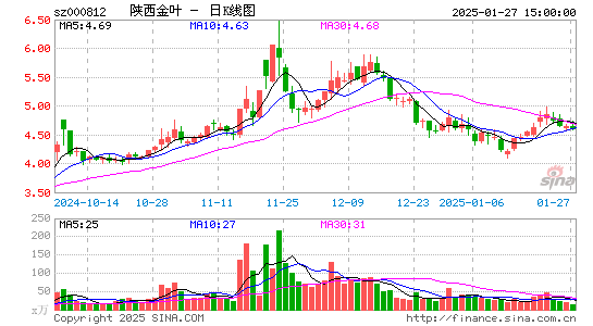 陕西金叶