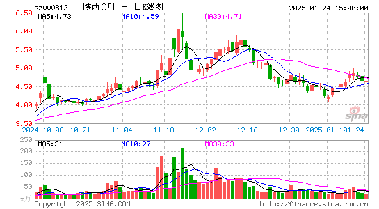 陕西金叶