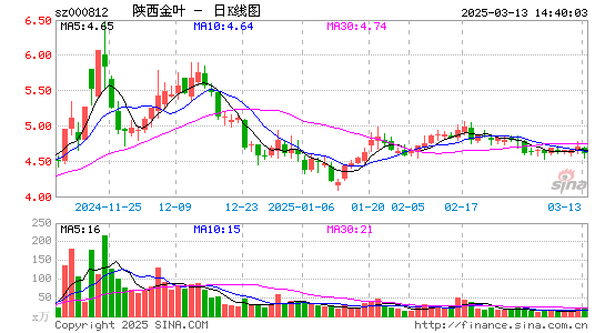 陕西金叶