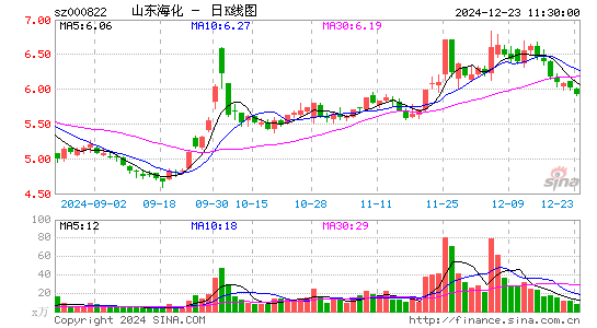 山东海化