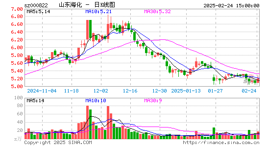 山东海化