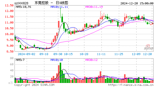 东莞控股