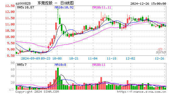 东莞控股