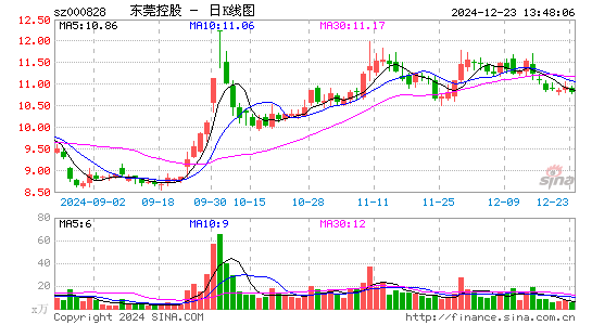 东莞控股